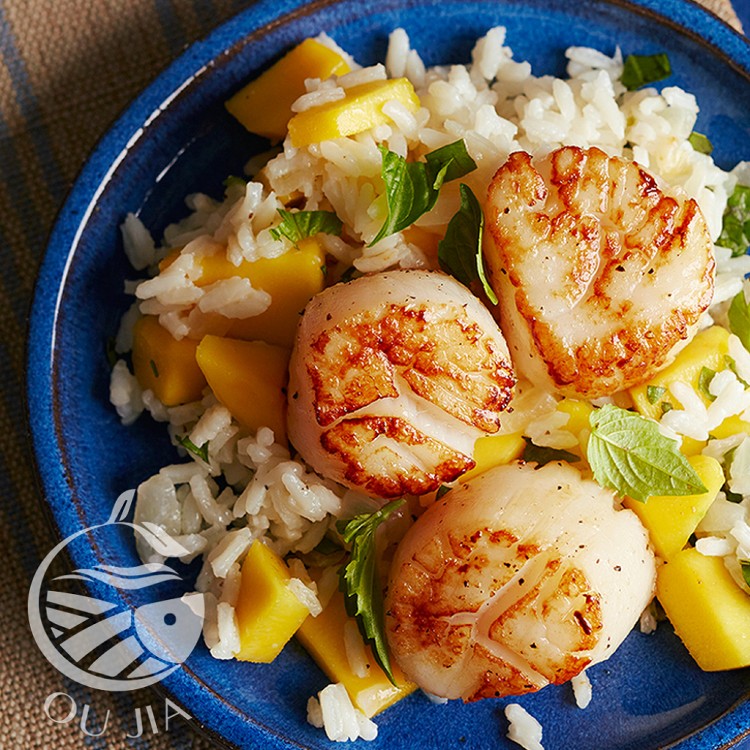 【歐嘉嚴選】日本3S生食級大干貝-10顆/包