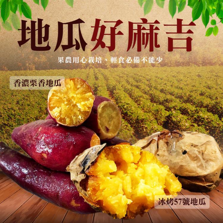 【歐嘉嚴選】超人氣冰烤地瓜/栗子地瓜任選-500g/包