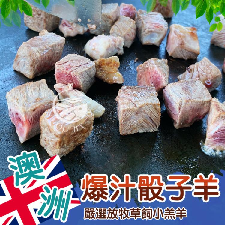 【歐嘉嚴選】澳洲放牧飼養骰子羊