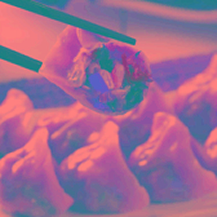 蔬菜園 / 餃子（薑味）※全素