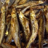 日式烘焙~醃製柳葉魚 富含高鈣可當零食吃,美味,可口