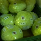 高麗菜 【根莖瓜果類 】0.8-1.2 kg/顆周博士有機栽做高麗菜，都屬抗癌性的多酚類蔬菜 特價：$50
