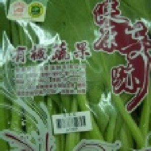 青泉菜