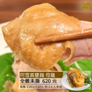 阿雪真甕雞 母雞