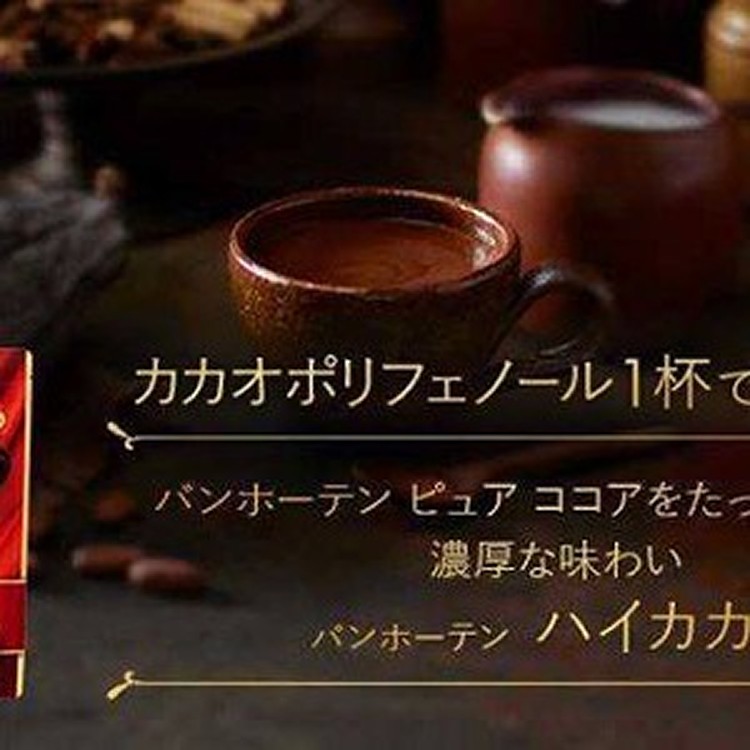 日本VAN HOUTEN 3倍濃厚可可粉-200g