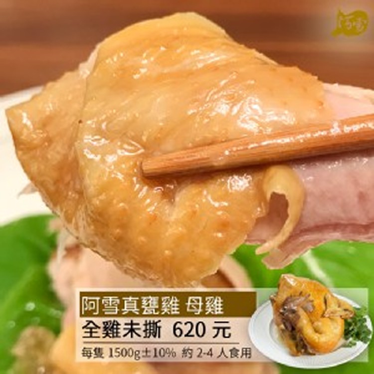 阿雪真甕雞 母雞