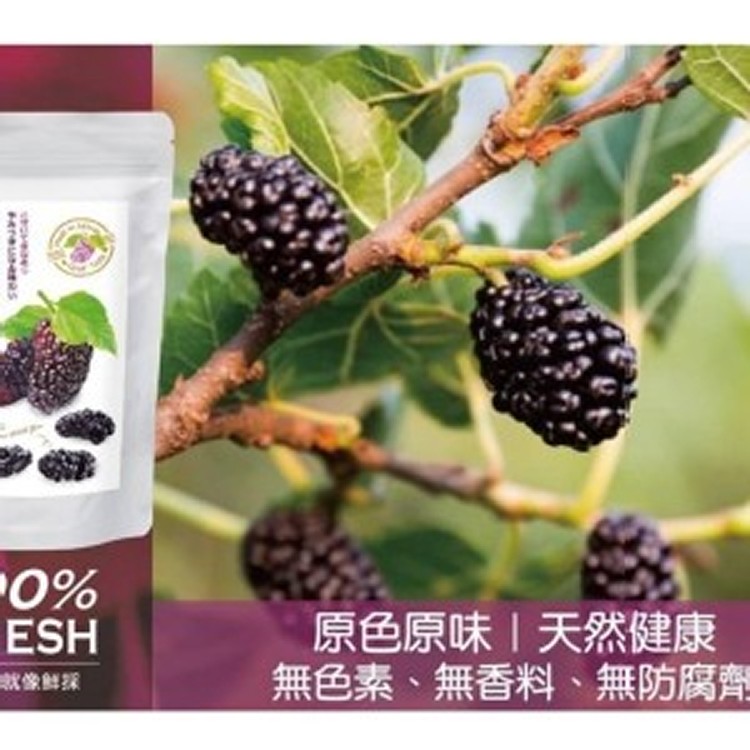 台灣小農鮮採桑椹乾