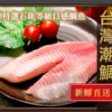 台灣潮鯛150G~200G/片
