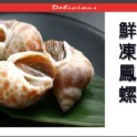 鮮凍鳳螺 商品規格：400G/包 (約12~30顆之間)