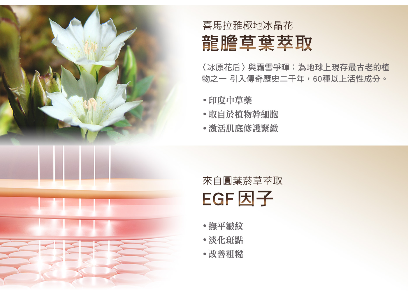 喜馬拉雅極地冰晶花，龍膽草葉萃取，〈冰原花后〉與霜雪爭暉;為地球上現存最古老的植，物之一 引入傳奇歷史二千年,60種以上活性成分。印度中草藥，取自於植物幹細胞，激活肌底修護緊緻，來自圓葉菸草萃取，EGF 因子，撫平皺紋，·淡化斑點，·改善粗糙。