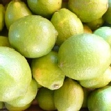檸檬(有籽的) 產地直銷優惠價1袋(5斤網袋裝)