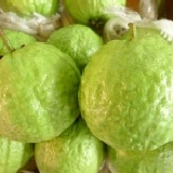 帝王芭樂.超優大粒的 限定星期二.六到貨.每個枝幹只有生3粒.且甜度很高唷(限中壢.平鎮主購開團)1.12~2斤