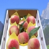 梨山水蜜桃 梨山*牛奶蜜*水蜜桃 6粒(3斤盒裝) 560