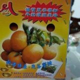 茂谷柑，是用牛奶養大的！ 足十斤/箱(不含箱重) 特價：$550