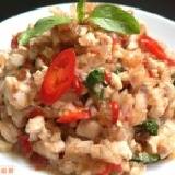 打拋(嘎拋)雞肉 【泰好吃系列~泰國菜/泰式料理】