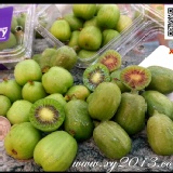 寶貝奇異果kiwiberry最迷你的奇異果10元硬幣大小