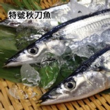 特大秋刀魚(3尾)．海鮮．CF000114