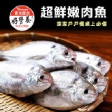超鮮嫩肉魚(肉鯽仔)。CF000351