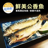特選肥美鮮嫩公香魚．CF000354