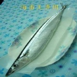 北海道特大秋刀魚1尾 特價：$15