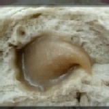 芋頭包(買2送1) 特價：$24