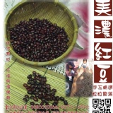 2016年自然落葉人工採收的【紅豆】--- 開賣囉!!