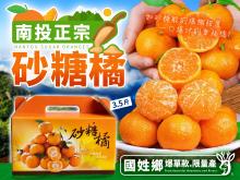 2026【南投正宗砂糖橘】3.5斤