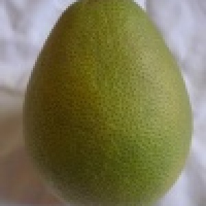 正宗台南文旦一箱10斤