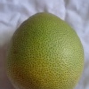 正宗台南文旦一箱10斤