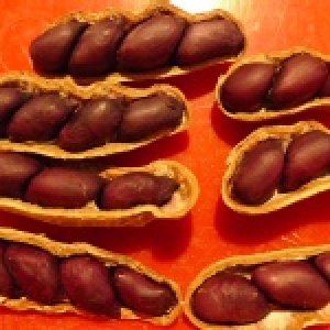 黑金剛(花生)