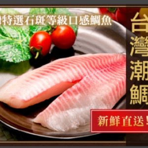 台灣潮鯛150G~200G/片