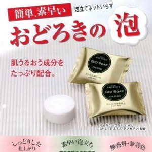 ECO SOAP泡泡洗顏