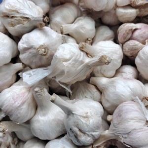 莿桐曬乾蒜頭 中大顆500克