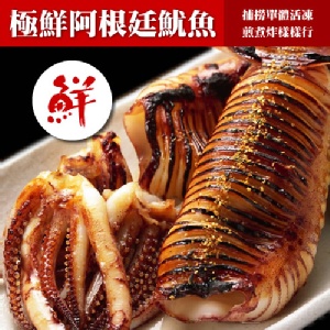 活凍阿根廷魷魚.海鮮.CF000330