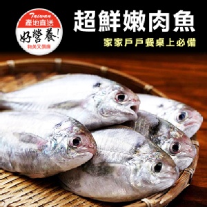 超鮮嫩肉魚(肉鯽仔)。CF000351