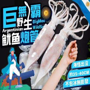 《巨無霸野生魷魚砲管》