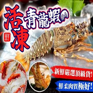 活凍青龍蝦(限時清倉價-售完即停)