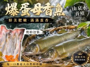 爆蛋母香魚500g(特價衝量檔)