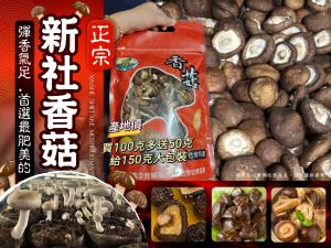 新社香菇