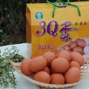 營養美味健康土雞蛋
