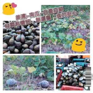 甜美豐碩的無毒【南瓜】