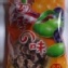 四季的味~甜菊梅 約90~95粒