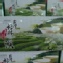 杉林溪高山茶(三盒)