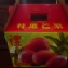 愛文芒果