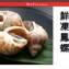 鮮凍鳳螺 商品規格：400G/包 (約12~30顆之間)