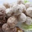 香菇貢丸