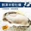 超肥美半殼牡蠣