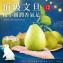 2026【麻豆李清泉-45年老欉頂級文旦禮盒】