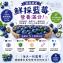 零食研究所-凍乾藍莓脆脆球