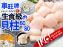 車旺牌生食級貝柱60/80 (1KG)